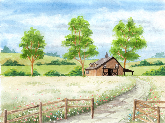 Country landscape (2)